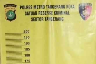 IMG 20251028 WA0267