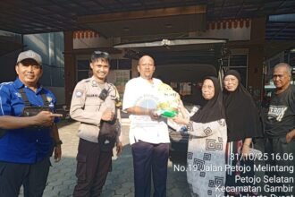 IMG 20251101 WA0017