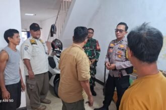 IMG 20251101 WA0178