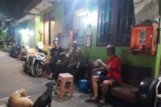 IMG 20251102 WA0009