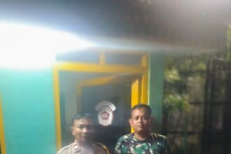 IMG 20251102 WA0015