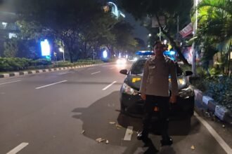 IMG 20251102 WA0137