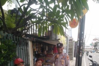 IMG 20251105 WA0253