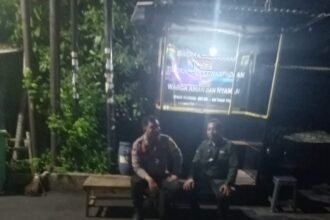 IMG 20251105 WA0293