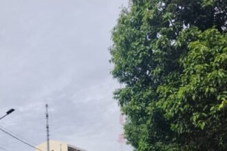IMG 20251106 WA0171