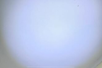 IMG 20251106 WA0216