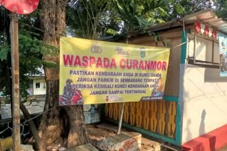 IMG 20251106 WA0225