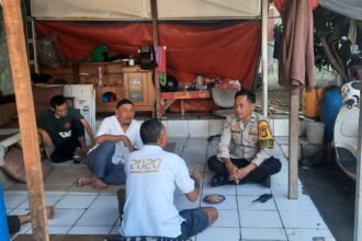 IMG 20251109 WA0113
