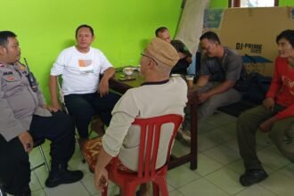 IMG 20251109 WA0234