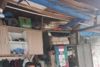 IMG 20251109 WA0249