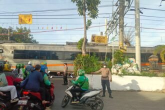 IMG 20251110 WA0152