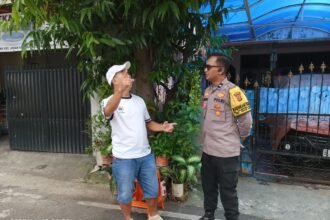 IMG 20251110 WA0157