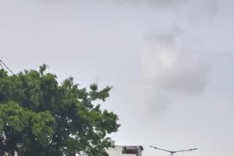 IMG 20251110 WA0272