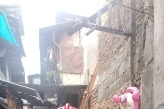 IMG 20251112 WA0080