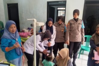 IMG 20251112 WA0141