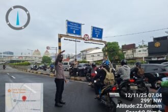 IMG 20251112 WA0241
