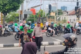 IMG 20251113 WA0203