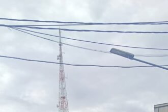 IMG 20251114 WA0212
