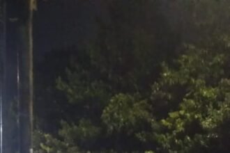 IMG 20251116 WA0067