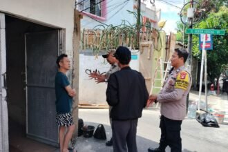 IMG 20251117 WA0211