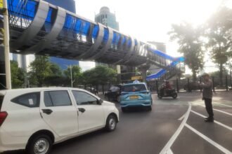 IMG 20251117 WA0218