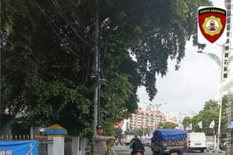 IMG 20251119 WA0334