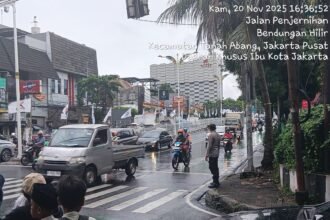 IMG 20251120 WA0288