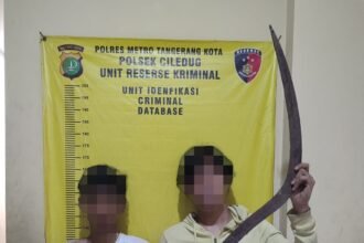 IMG 20251121 WA0262