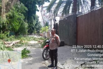 IMG 20251122 WA0211