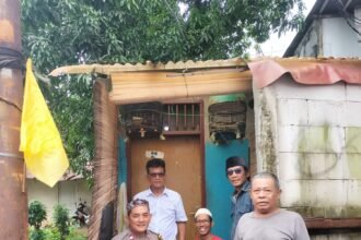 IMG 20251123 WA0103