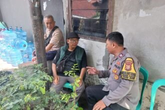 IMG 20251123 WA0199