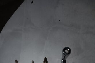 IMG 20251124 WA0185