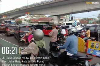 IMG 20251124 WA0221