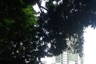 IMG 20251125 WA0263