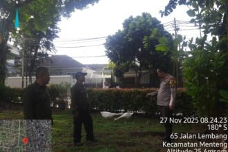 IMG 20251127 WA0258