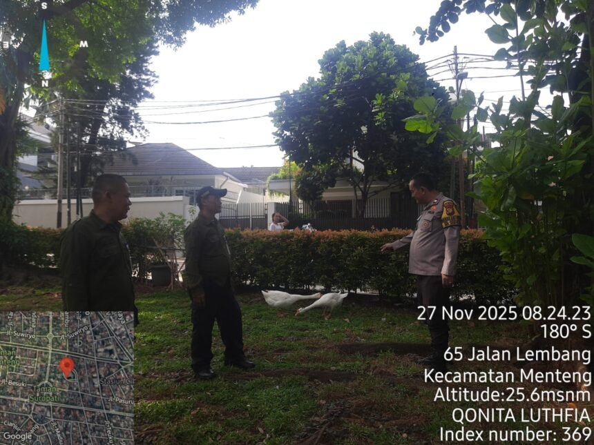IMG 20251127 WA0258