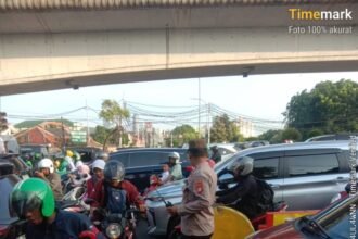 IMG 20251201 WA0182