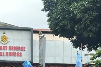 IMG 20251201 WA0237