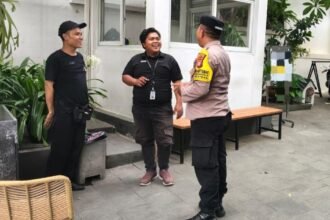 IMG 20251201 WA0248