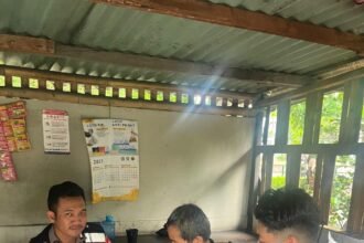 IMG 20251203 WA0141