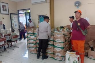 IMG 20251203 WA0159