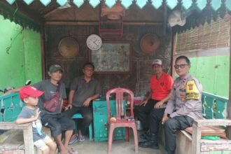 IMG 20251203 WA0202