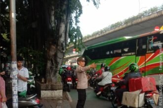 IMG 20251203 WA0230