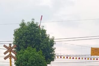 IMG 20251203 WA0316