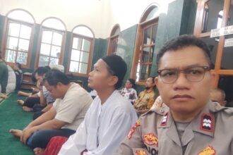 IMG 20251205 WA0203
