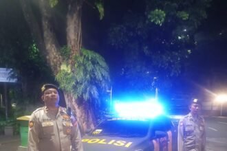 IMG 20251205 WA0324