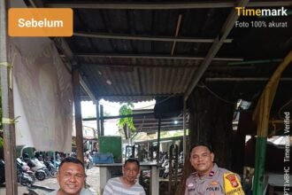 IMG 20251206 WA0349