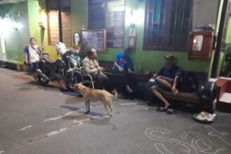 IMG 20251207 WA0293