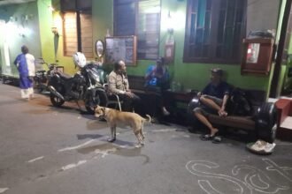 IMG 20251208 WA0073