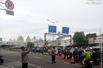 IMG 20251208 WA0206